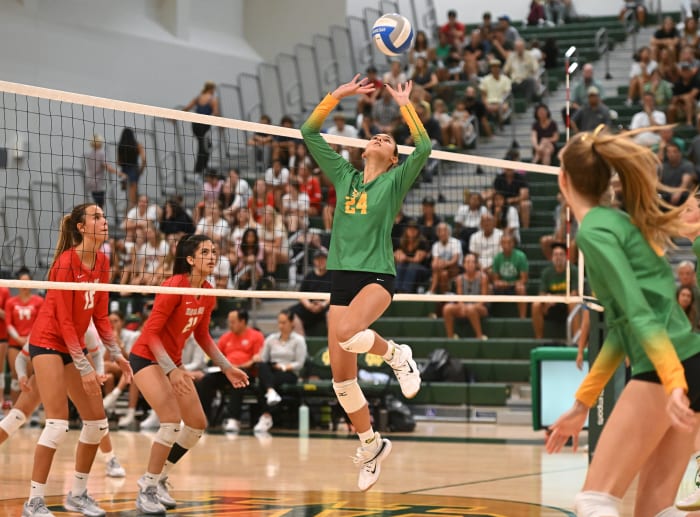 More Fuerbringer (24)